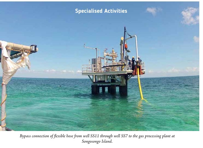 Well-Head Installation